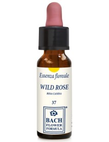 WILD ROSE ORIGINAL 10ML GTT EBV