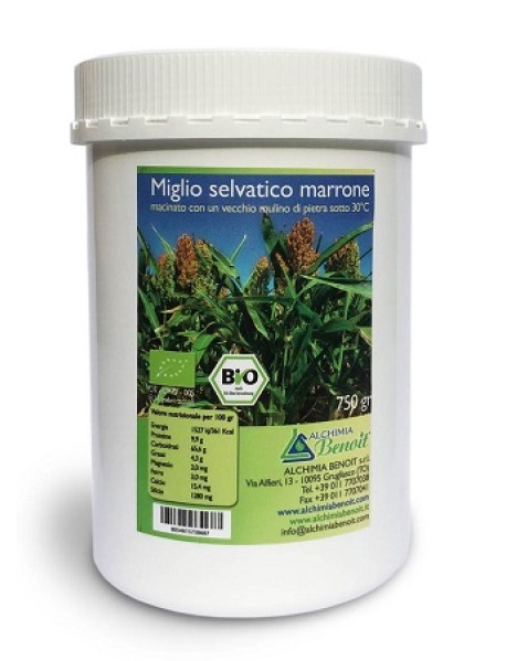 MIGLIO BRUNO SELVATICO BIO MACINATO 750G