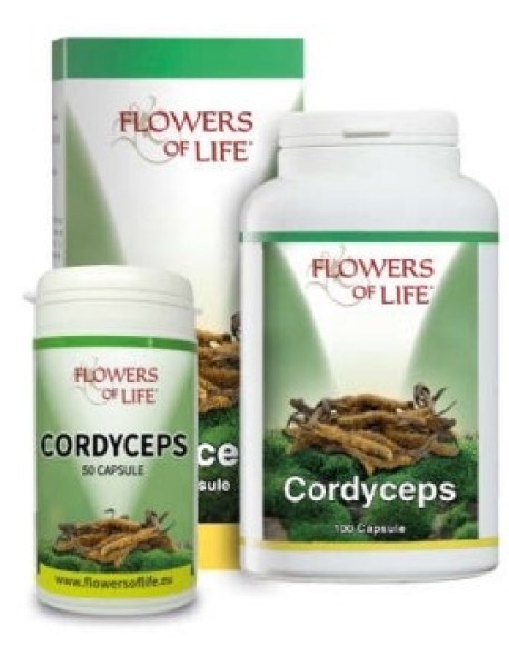 CORDYCEPS 100CPS ATENA