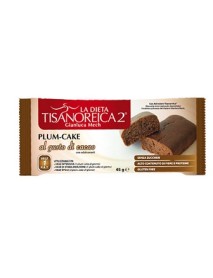 TISANOREICA 2 PLUM-CAKE GUSTO CACAO 45G 