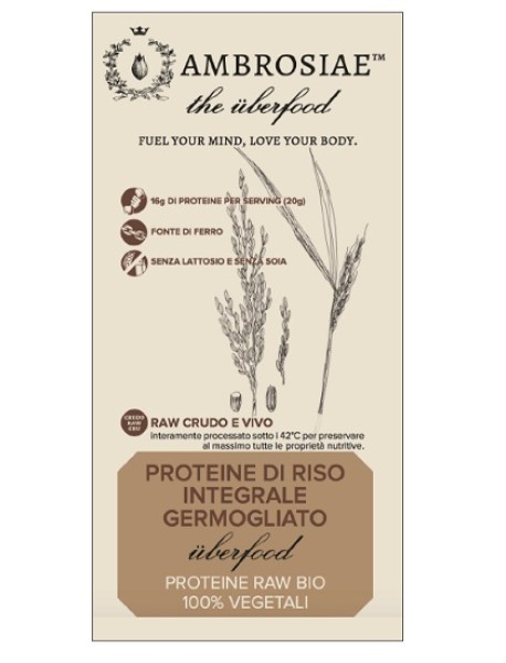 AMBROSIAE UBERFOOD PROTEINE RISO