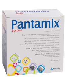 PANTAMIX 20 BUSTINE