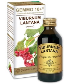 VIBURNO LIQ S/ALC 100ML GIORGINI