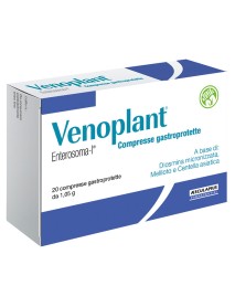 VENOPLANT 20 COMPRESSE 1,2G