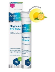 DR.THEISS ACTIVE NUTRIENT MAGNESIO 379 FORTE 20 COMPRESSE