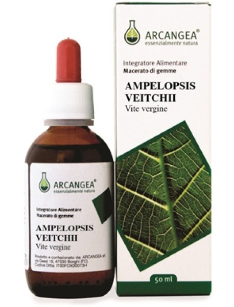 AMPELOPSIS WEIT MG 50ML (G504C)