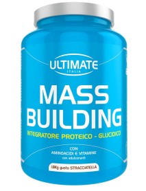 ULTIMATE MASS BUILDING STRACC