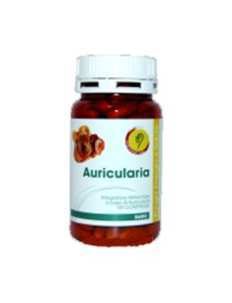 AURICULARIA LINEA BASIC 120CPR (