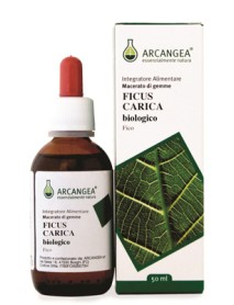 FICUS CARICA BIO GEMMOD 50ML