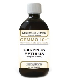 DR.GIORGINI CARPINO BIANCO GEMMO 10+ 500ML