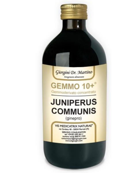 DR.GIORGINI GINEPRO GEMMODERIVATO CONCENTRATO 10+ 500ML 