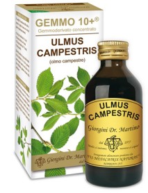 DR.GIORGINI OLMO CAMPESTRE GEMMO 10+ 100ML