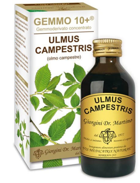 DR.GIORGINI OLMO CAMPESTRE GEMMO 10+ 100ML