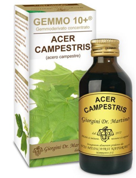 DR.GIORGINI ACERO CAMPESTRIS GEMMO 10+ 100ML