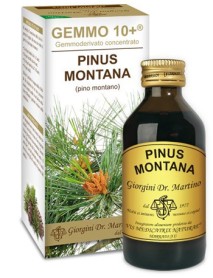 DR.GIORGINI PINO MONTANO LIQUIDO ANALCOLICO GEMMO 10+ 100ML