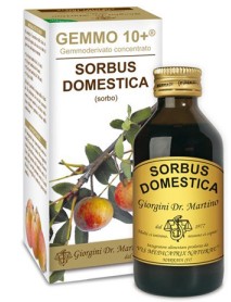 DR.GIORGINI SORBO GEMMO 10+ 100ML