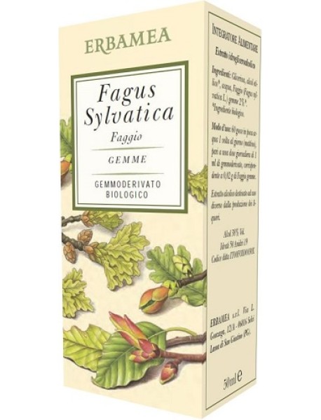 FAGUS SYLVATICA FAGGIO 50ML