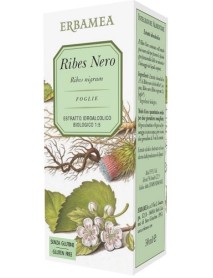 ERBAMEA RIBES NERO 50ML