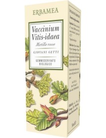 VACCINIUM VITIS IDAEA M R 50ML