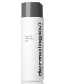 DERMALOGICA SPECIAL CLEAN250ML