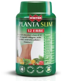 WINTER PLANTA SLIM 12ERBE 60CPS