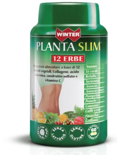 WINTER PLANTA SLIM 12ERBE 60CPS