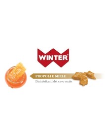 WINTER CARAMELLE PROP/MIELE65G