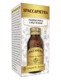 SPACCAPIETRA 90PAST GIORG
