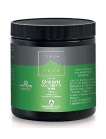 TERRANOVA SUPER SHAKE INT GREE