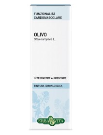 ERBA VITA OLIVO TINTURA IDROALCOLICA 50ML 