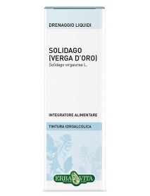 VERGA D'ORO (SOLIDAGO) SI GTT 50