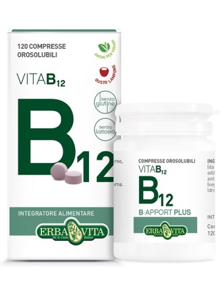 ERBA VITA B-APPORT PLUS 120 COMPRESSE OROSOLUBILI