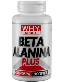 WHYSPORT BETA ALANINA PL 90CPR