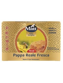 MATT TON/ENERG PAPPA R FRESC8F