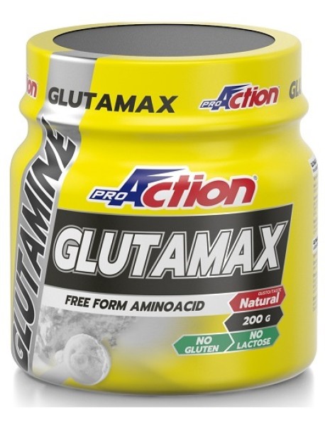 PROACTION GLUTAMAX 200G