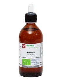 GINKGO BILOBA MG BIO 200ML FTM