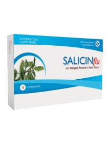 SALICIN FLU 15COMPRESSE