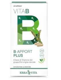 ERBA VITA B-APPORT PLUS 45 CAPSULE