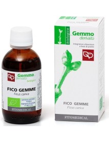 FICO GEMME MG BIO 50ML FTM