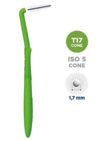 CURASEPT PROXI ANGLE TREATMENT T17 VERDE