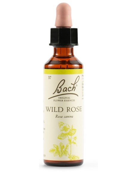 WILD ROSE FIORI DI BACH ORIGINAL 20ML