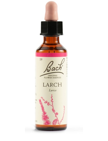 LARCH FIORI DI BACH ORIGINALI 20ML