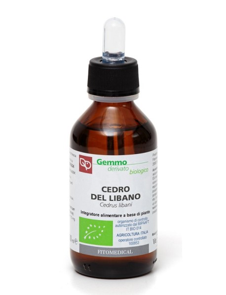 CEDRO DEL LIBANO MG BIO 100M FTM