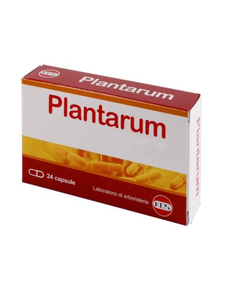 PLANTARUM 10MLD 24 CAPSULE KOS