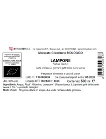 LAMPONE MG BIO 500ML FTM