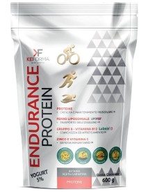 ENDURANCE PROTEIN 600G