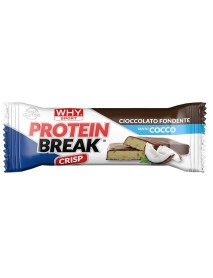 PROTEIN BREAK CIOC FOND COCCO