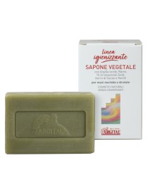 SAPONE VEG IGIENIZZANTE 100G