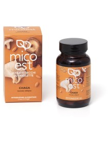 CHAGA ESTR SECCO 60TAV FITOMEDIC