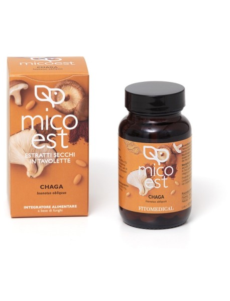 CHAGA ESTR SECCO 60TAV FITOMEDIC